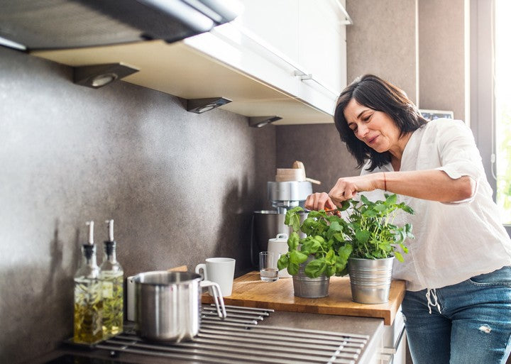 10 Essential Plants for Your Kitchen