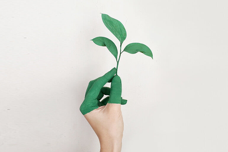 10 Easy Ways to Be More Eco-Friendly