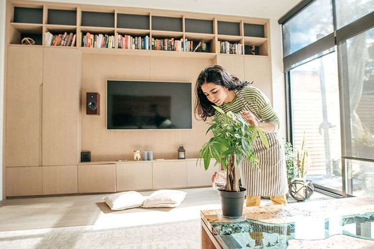 Can Feng Shui Relieve Stress?