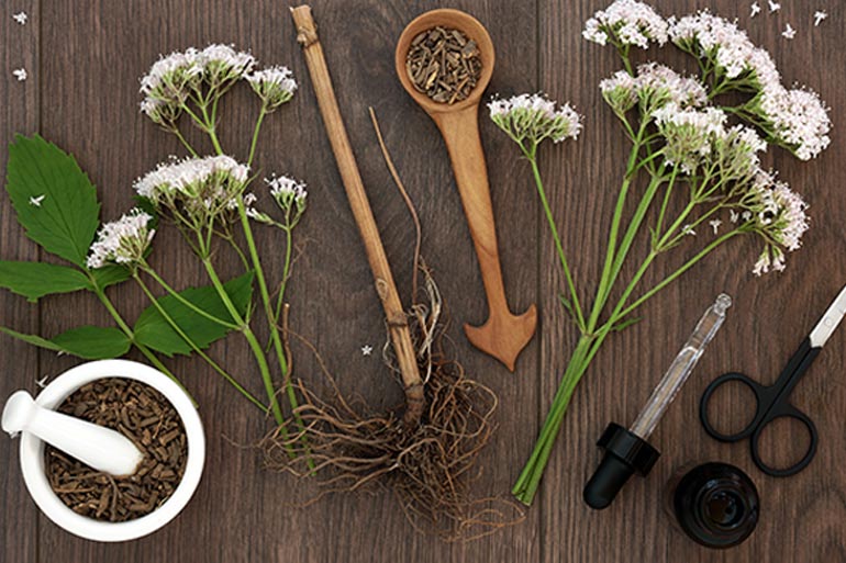 Heard of Valerian Root? Learn How It Helps Reduce Anxiety