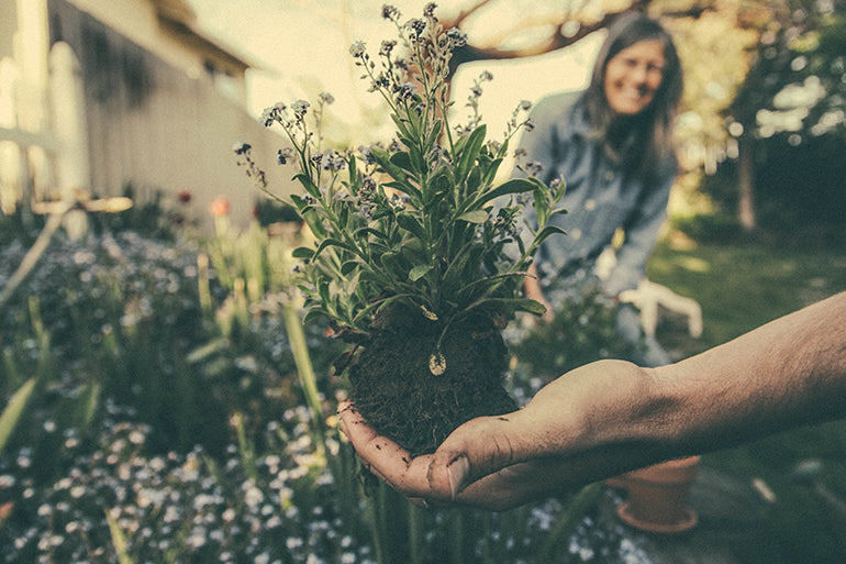 Mindful Gardening - How to Turn Gardening into Meditation